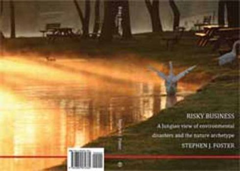 Paperback Risky Business: A Jungian View of Environmental Disasters and the Nature Archetype Book