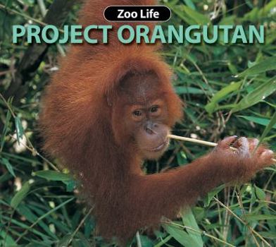 Hardcover Project Orangutan Book