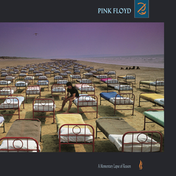 Vinyl Momentary Lapse Of Reason Book