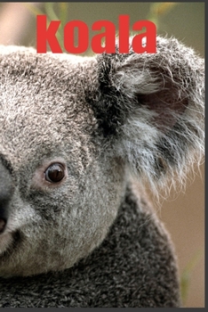 Paperback koala Book