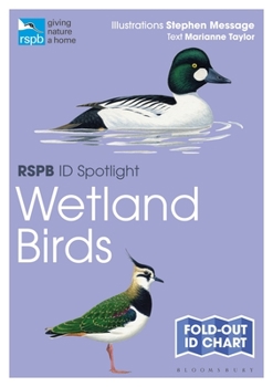 Paperback Rspb Id Spotlight - Wetland Birds Book