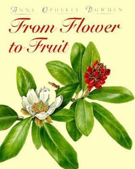 Hardcover From Flower to Fruit CL Book