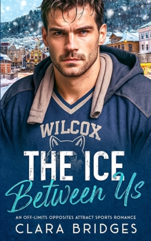 Paperback The Ice Between us Book