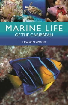 Paperback Marine Life of the Caribbean Book