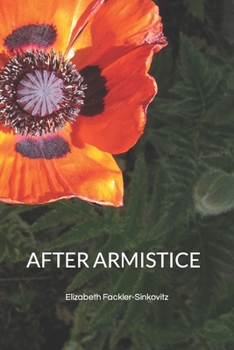 Paperback After Armistice Book