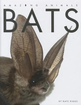 Library Binding Bats Book