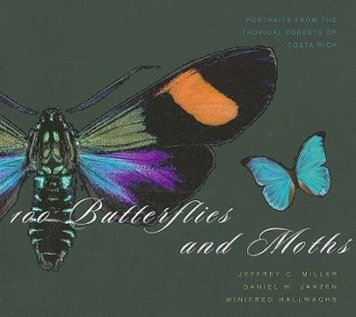 Paperback 100 Butterflies and Moths: Portraits from the Tropical Forests of Costa Rica Book