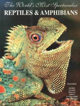 Hardcover The World's Most Spectacular Reptiles and Amphibians Book