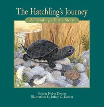 Paperback Hatchling's Journey Book