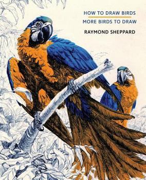 Paperback How to Draw Birds / More Birds to Draw Book