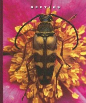 Library Binding Beetles Book