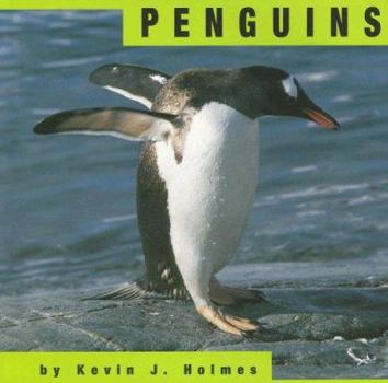 Paperback Penguins (Animals) Book