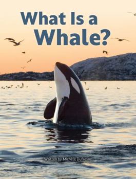 What Is a Whale?