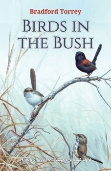 Paperback Birds in the Bush Book