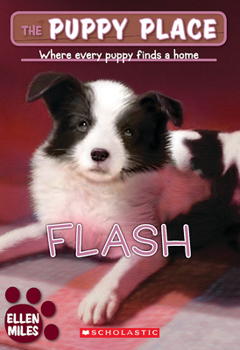 Paperback Flash (the Puppy Place #6) Book