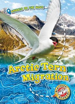 Library Binding Arctic Tern Migration Book