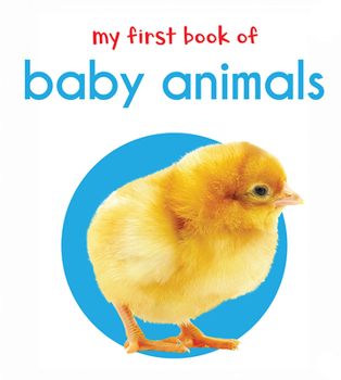 Hardcover My First Book of Baby Animals: First Board Book