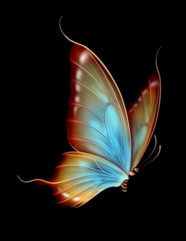 My Black Journal The Butterfly