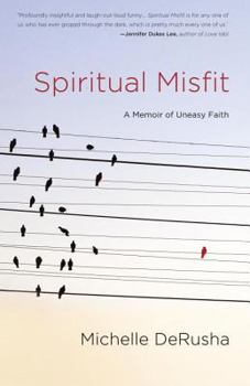 Paperback Spiritual Misfit Book