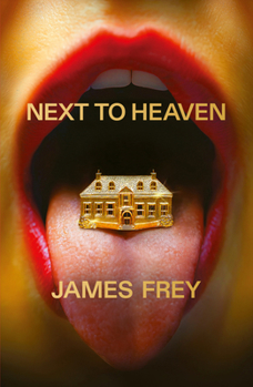 Next to Heaven: The PROVOCATIVE new novel from BESTSELLING author of A Million Little Pieces