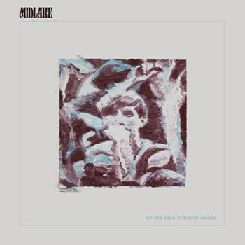 Vinyl For The Sake Of Bethel Woods (Crystal Clear LP) Book