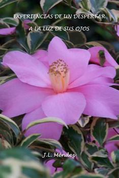 EXPERIENCIAS DE UN DESPERTAR A LA LUZ DE SUS OJOS