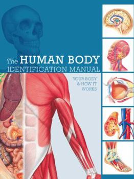 Hardcover Human Body Identification Manual: Your Body and How It Works Book