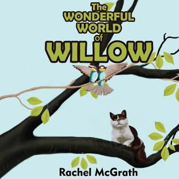 Paperback The Wonderful World of Willow Book