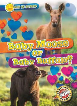 Baby Moose or Baby Buffalo? (Who Is Cuter?)
