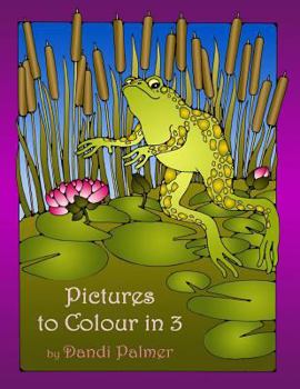 Paperback Pictures to Colour In 3 Book