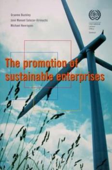 Paperback The Promotion of Sustainable Enterprises Book