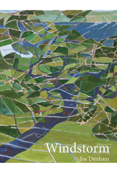 Paperback Windstorm Book