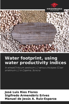 Paperback Water footprint, using water productivity indices Book