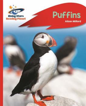 Paperback Reading Planet - Puffins - Red a: Rocket Phonics Book