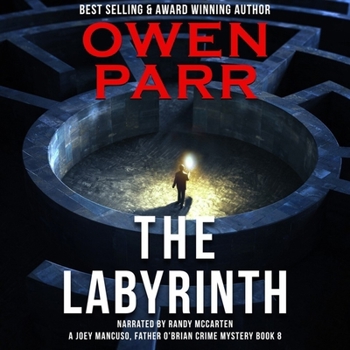 Audio CD The Labyrinth Lib/E Book