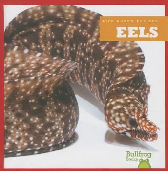 Eels - Book  of the Life Under the Sea