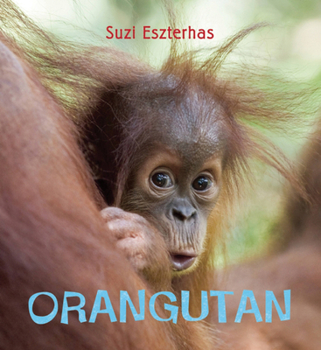 Hardcover Eye on the Wild: Orangutan Book