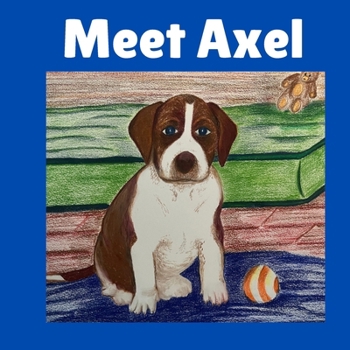 Meet Axel