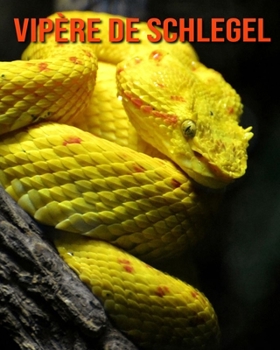 Vipère de Schlegel: Recueil pour Enfants de Belles Images & d’Informations Intéressantes Concernant les Vipère de Schlegel (French Edition)