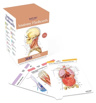 Cards Anatomy Flashcards: 300 Flashcards with Anatomically Precise Drawings and Exhaustive Descriptions Book
