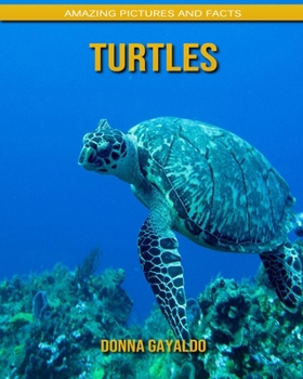 Turtles: Amazing Pictures and Facts