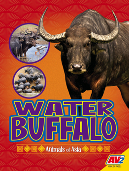 Paperback Water Buffalo Book