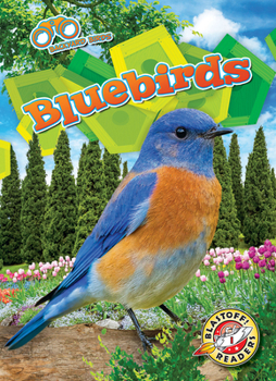 Library Binding Bluebirds Book