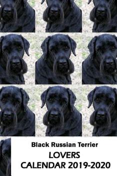 Paperback Black Russian Terrier Lovers Calendar 2019-2020 Book