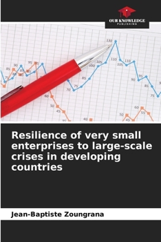 Paperback Resilience of very small enterprises to large-scale crises in developing countries Book