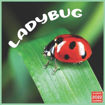 Ladybug 2022 Calendar: Official Ladybugs Insects 2022 Calendar 16 Months