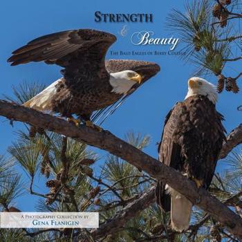 Paperback Strength & Beauty: The Bald Eagles of Berry College Book