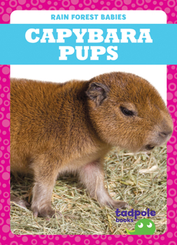 Library Binding Capybara Pups Book