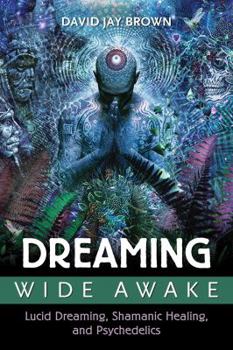 Paperback Dreaming Wide Awake: Lucid Dreaming, Shamanic Healing, and Psychedelics Book
