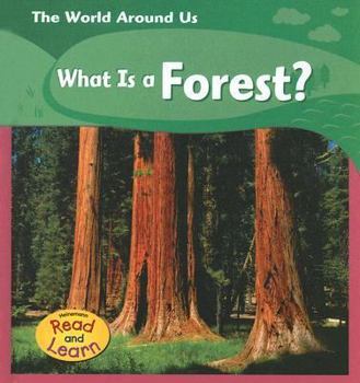 Library Binding What Is a Forest? Book